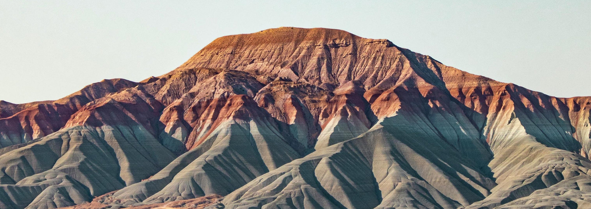 SFO Annual Median Salary Expenses