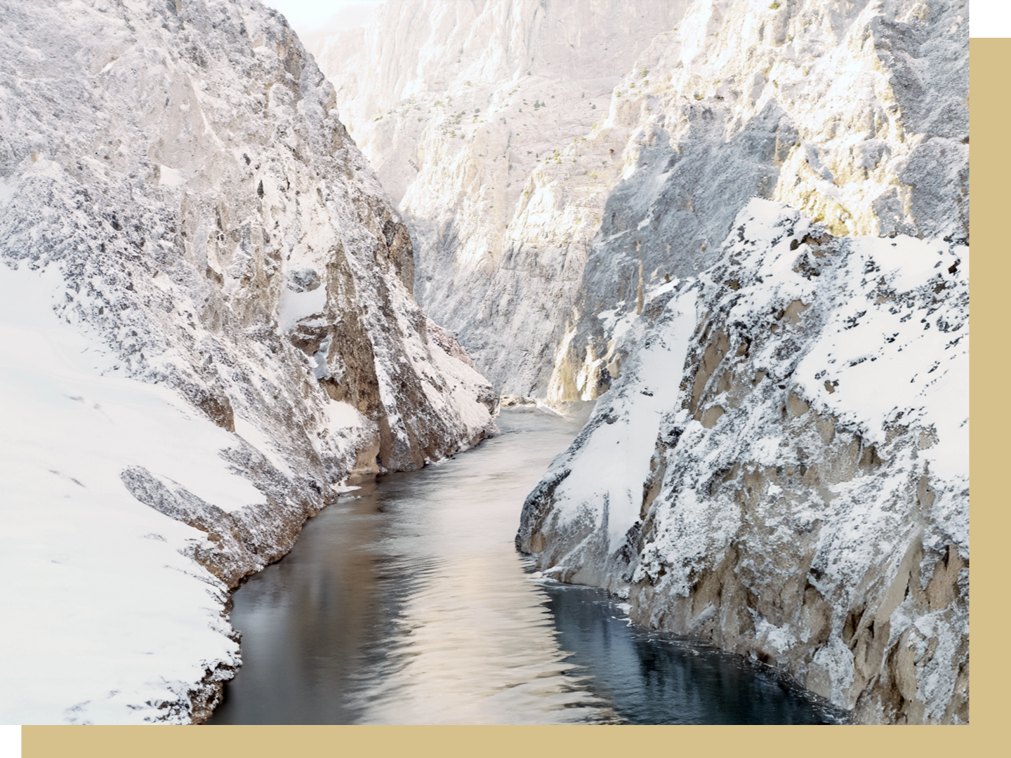 Our Value and Vision